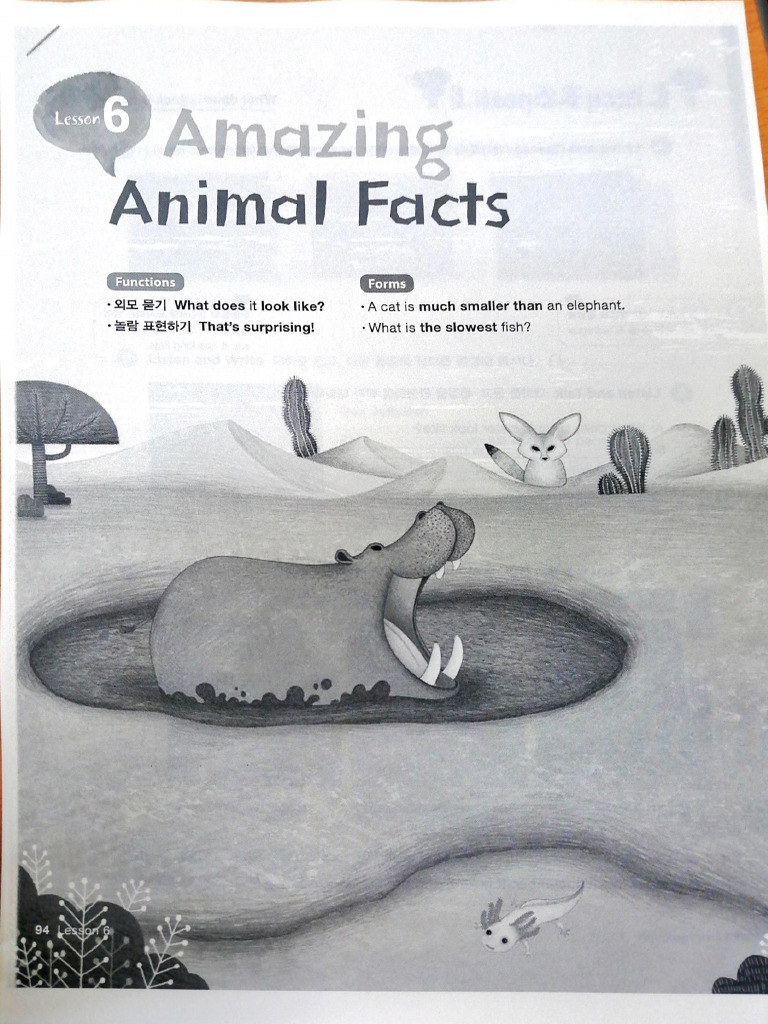 10 AMAZING FACTS ABOUT ANIMALS IN ENGLISH FOR STUDENTS intelligence overview