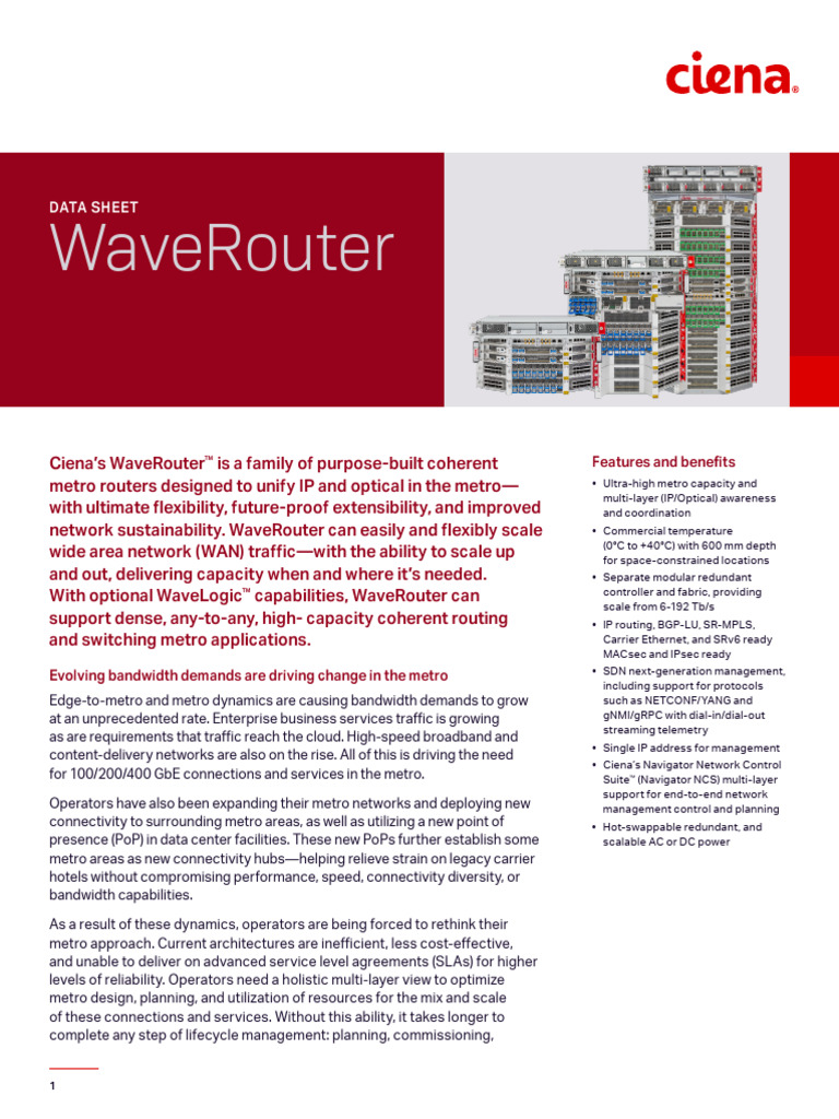 Ciena WaveRouter: Metro Routing Solutions | PDF | Computer Network ...