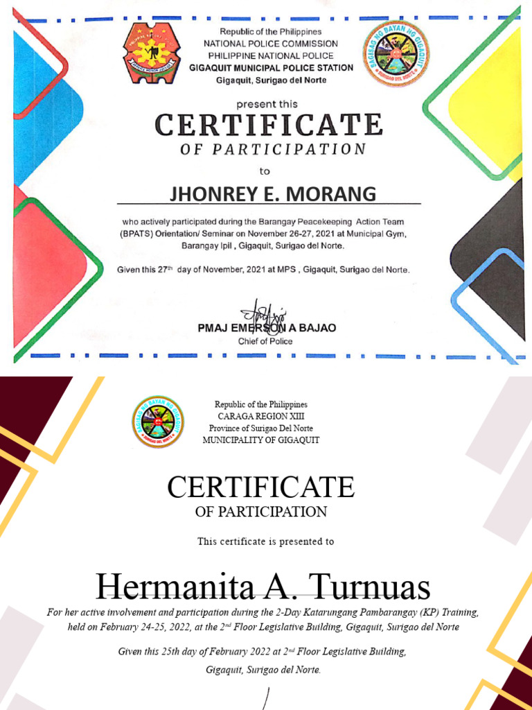 KP Training Participation Certificate | PDF