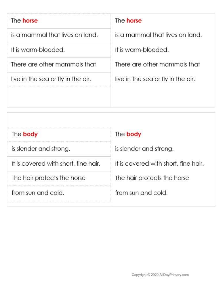 The Horse Definitions Stage 3 Download Free PDF Horses Zoology