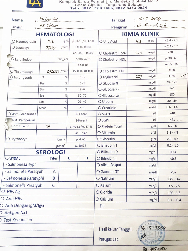 Hasil Lab Pasien | PDF