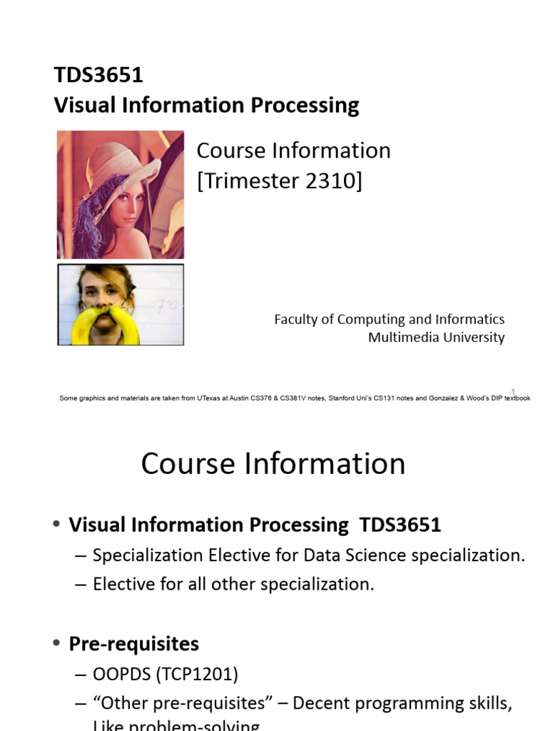 Visual Information Processing Overview | PDF | Computer Vision | 3 D ...