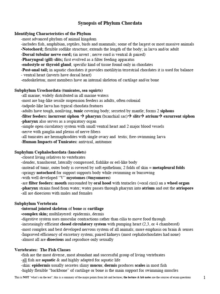 Reptile Overview in Chordata Phylum | PDF | Reptile | Amphibian