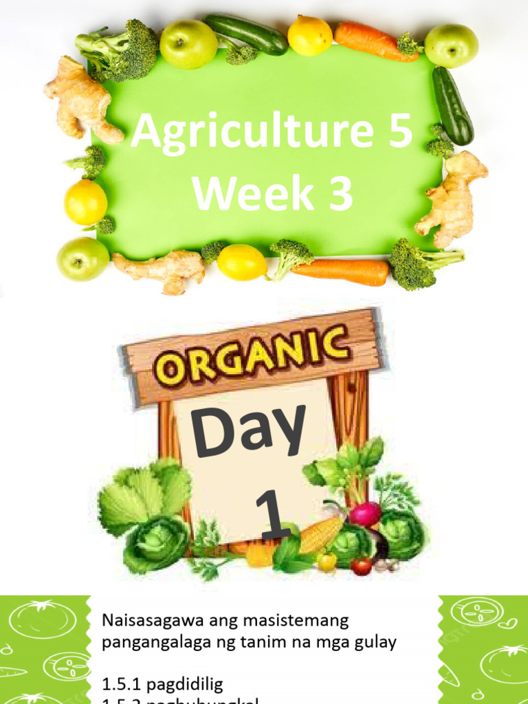Agri5 w3 Masistemang Pangangalaga NG Tanim Na Mga Gulay | PDF