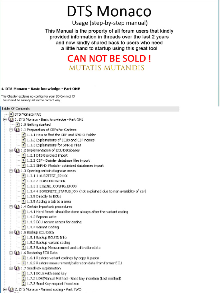 DTS Monaco User Manual Guide | PDF