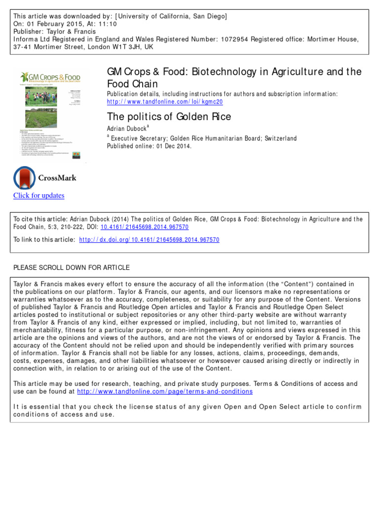 The Politics of Golden Rice | PDF | Genetically Modified Organism ...