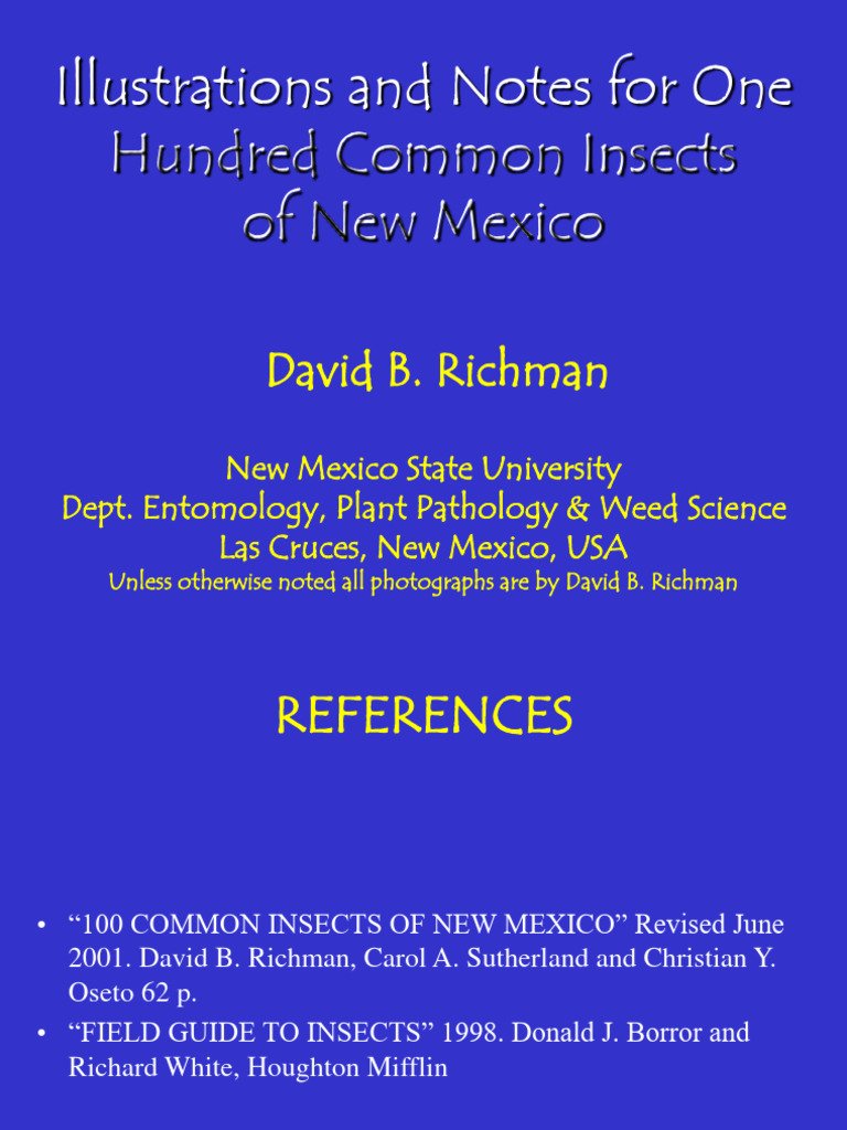 100 Common Insects Presentation Pdf Beetle Insects