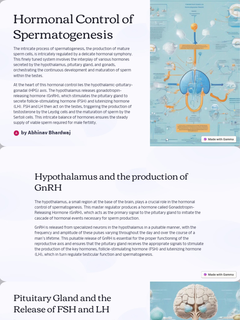 Hormonal Regulation of Spermatogenesis | PDF | Luteinizing Hormone ...