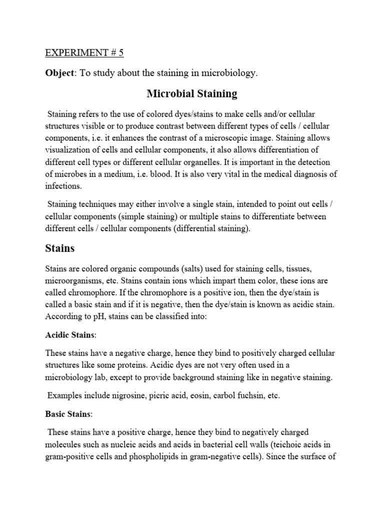 Exp 5 Microbial Staining Pdf Staining Cell Biology