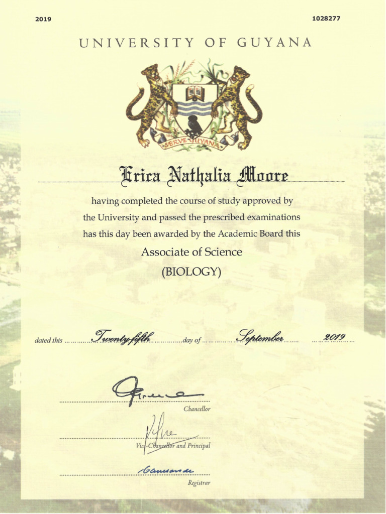 Associate Degree 2019 | PDF