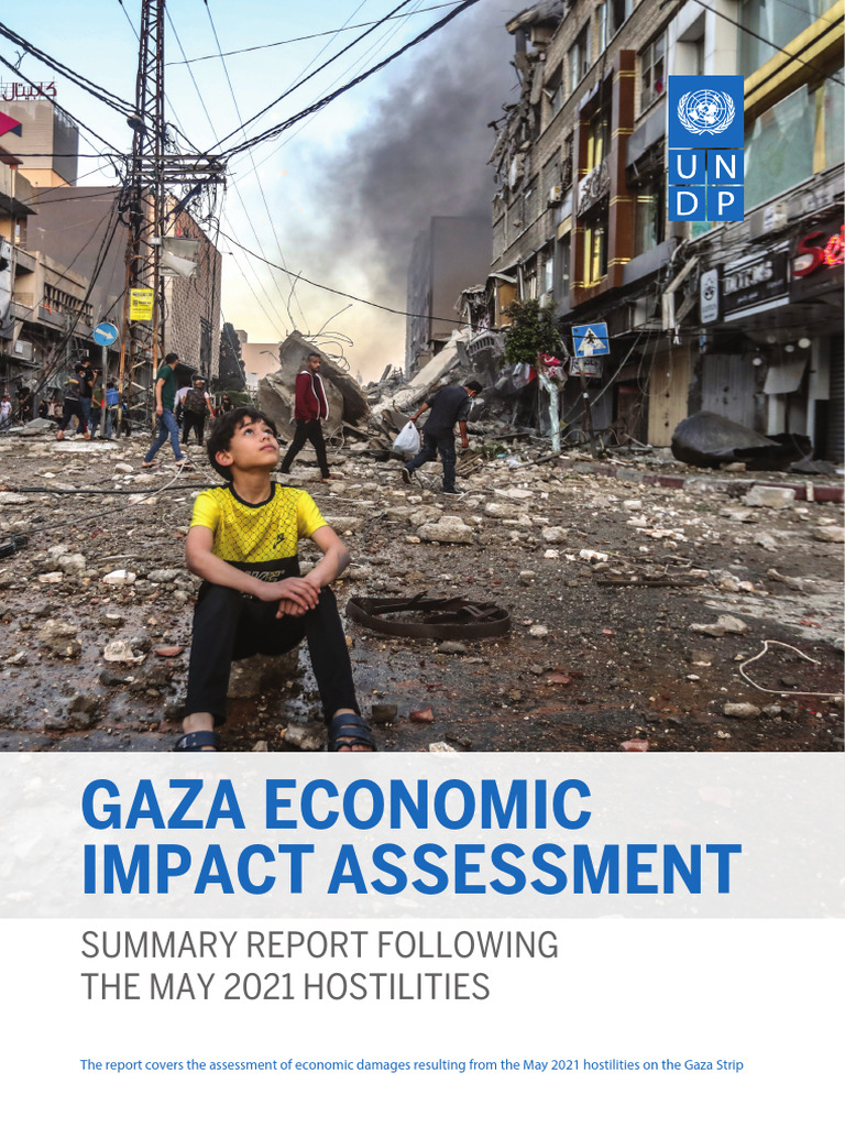 UNDP Papp Research GazaEconomy | PDF | Subsidy | Infrastructure