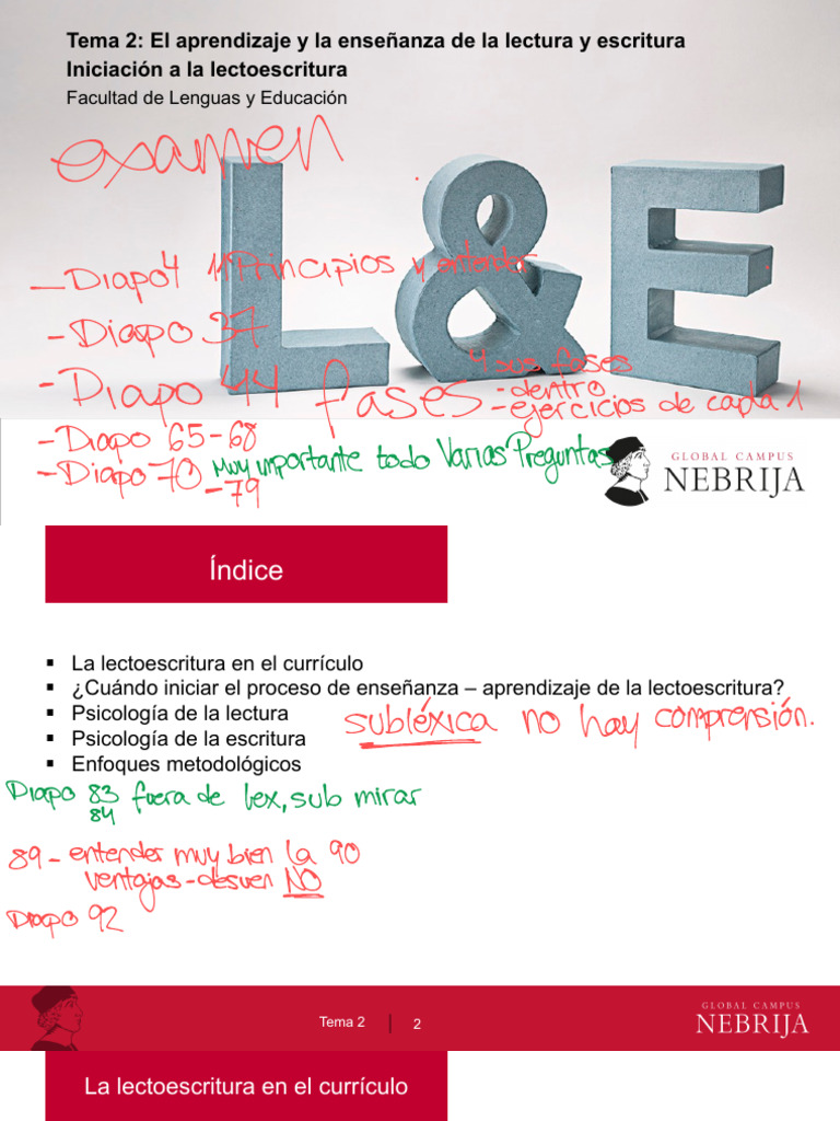Tema 2 El Aprendizaje y La Enseñanza de La Lectura y Escritura | PDF ...