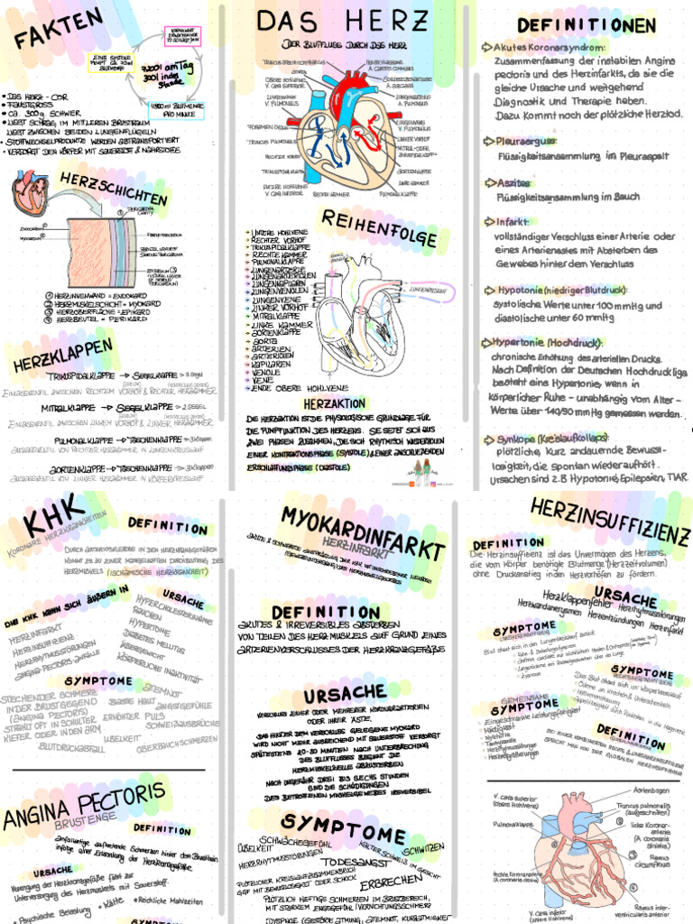 Herz | PDF