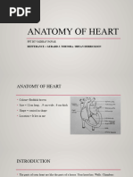 Mammalian Heart Dissection Guide | PDF | Heart Valve | Heart