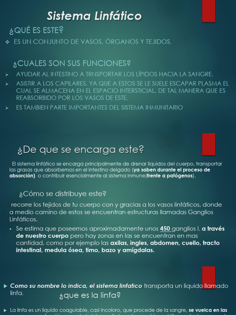 Sistema Linfático Pdf Sistema Linfático Linfa