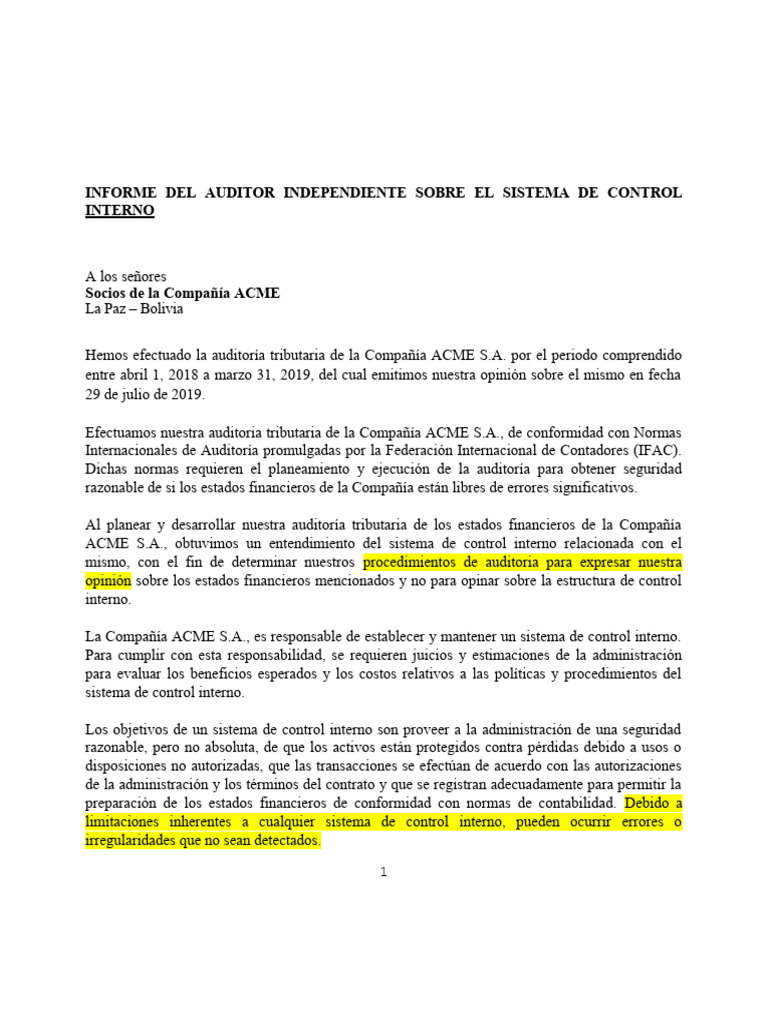 Informe de Control Interno | PDF | Auditoría | Business