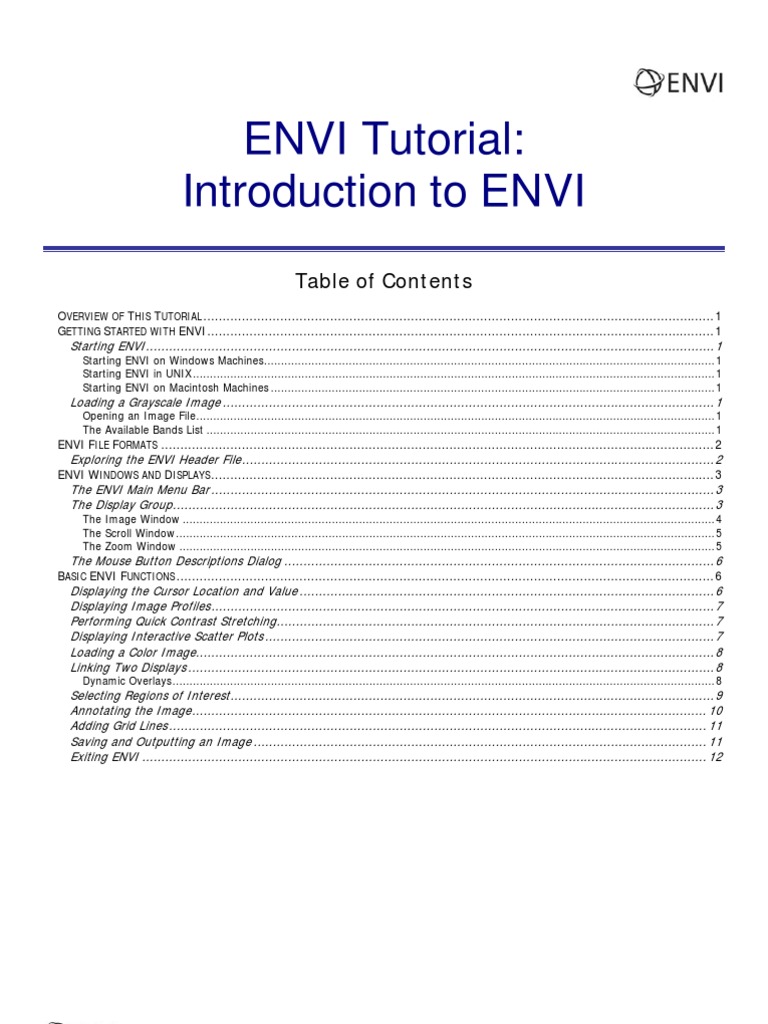 Envi Intro Button File Format