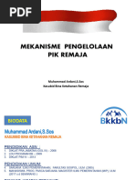 Arti dan Tujuan PIK-R untuk Remaja | PDF
