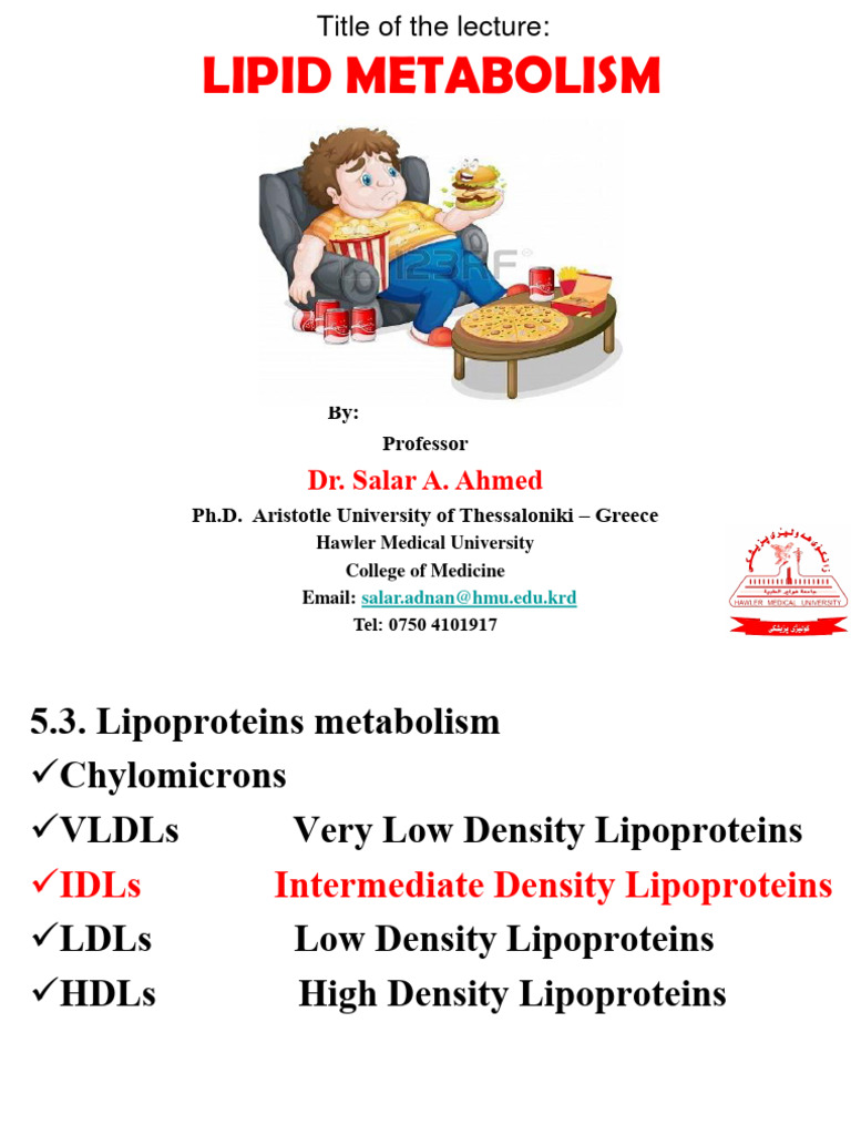 2nd - Lipid Metabolism HMU | PDF | Fatty Acid | Lipoprotein