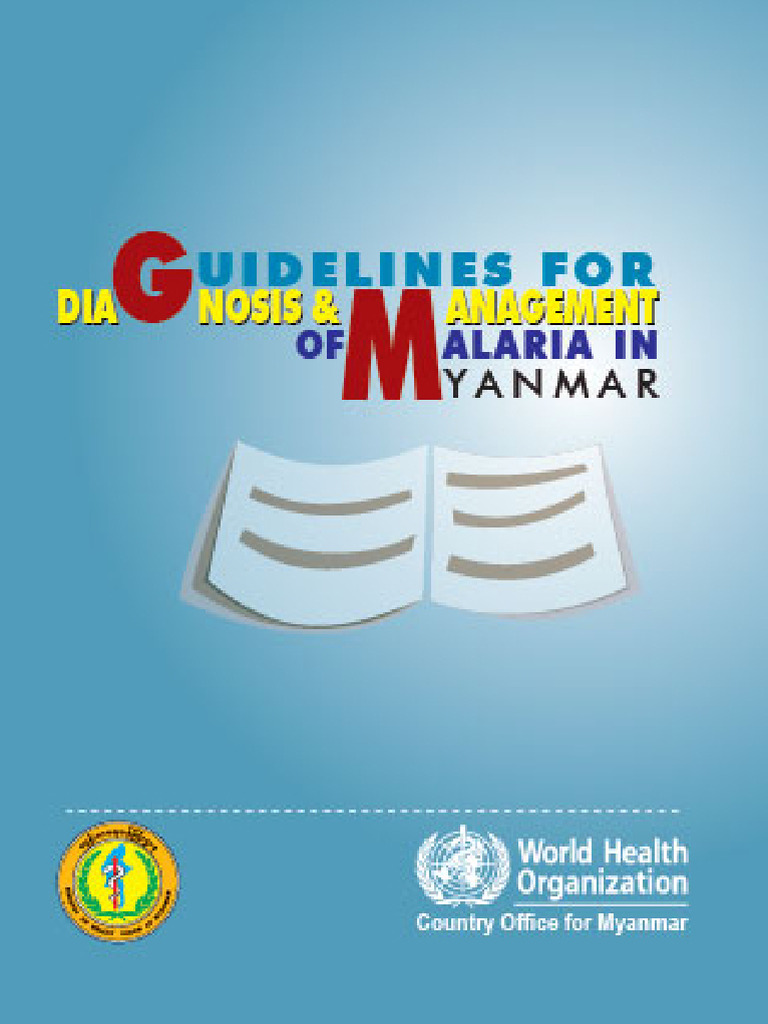 Myanmar intelligence overview