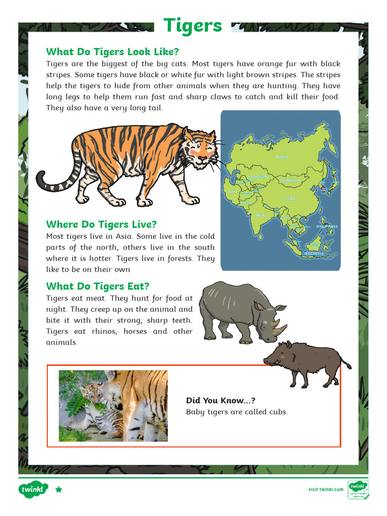 Tiger Facts for Kids | PDF
