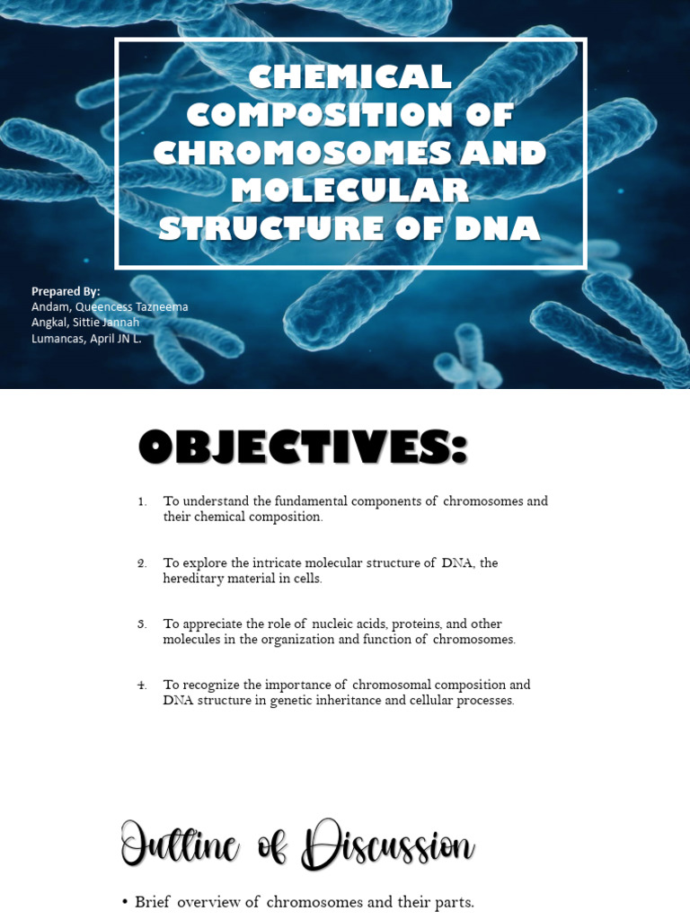 Part 1. Chromosomes | PDF | Histone | Rna
