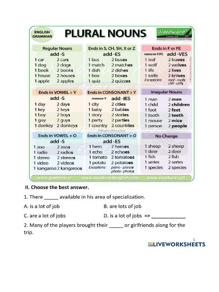 Plural Nouns 1 | PDF