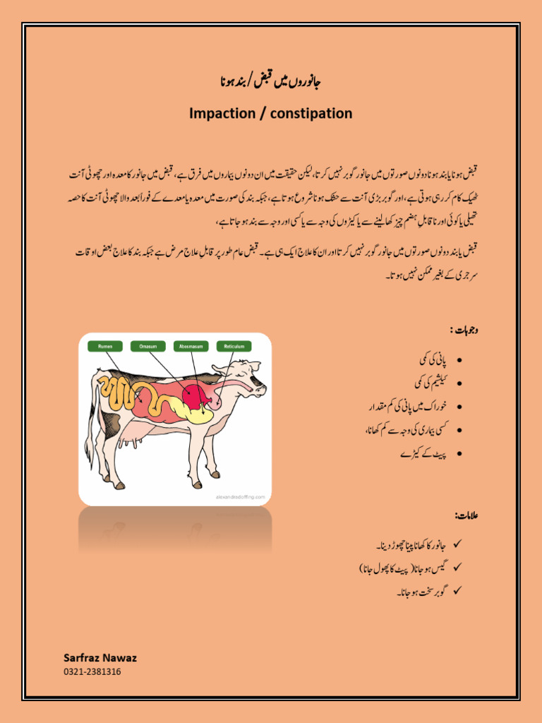 Constipation Pdf