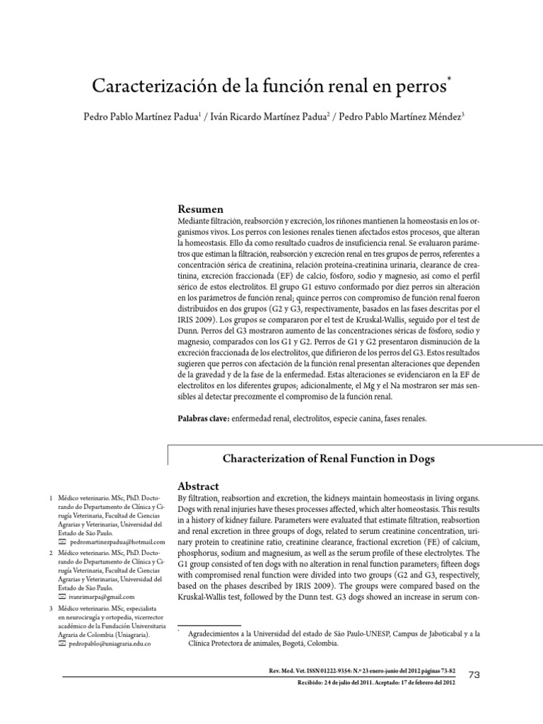 Evaluación de la función renal en perros | PDF | Riñón | Sodio