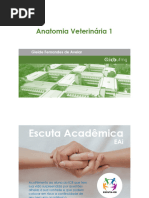 Apostila Osteologia Membro Torácico Equino 2 Pdf Sistema