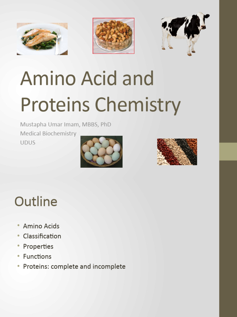 Amino Acids and Protein Chemistry Guide | PDF | Amino Acid | Proteins
