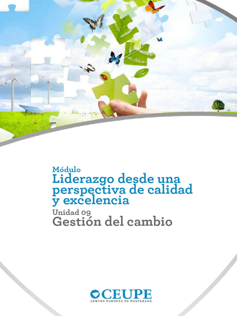 Gestión del Cambio en Organizaciones | PDF | Liderazgo