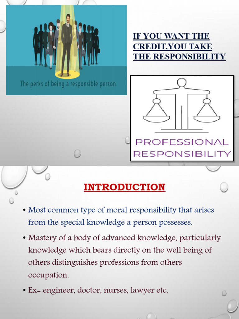Professionalresponsibilityaccountability 231229062928 6b35db82 | PDF ...