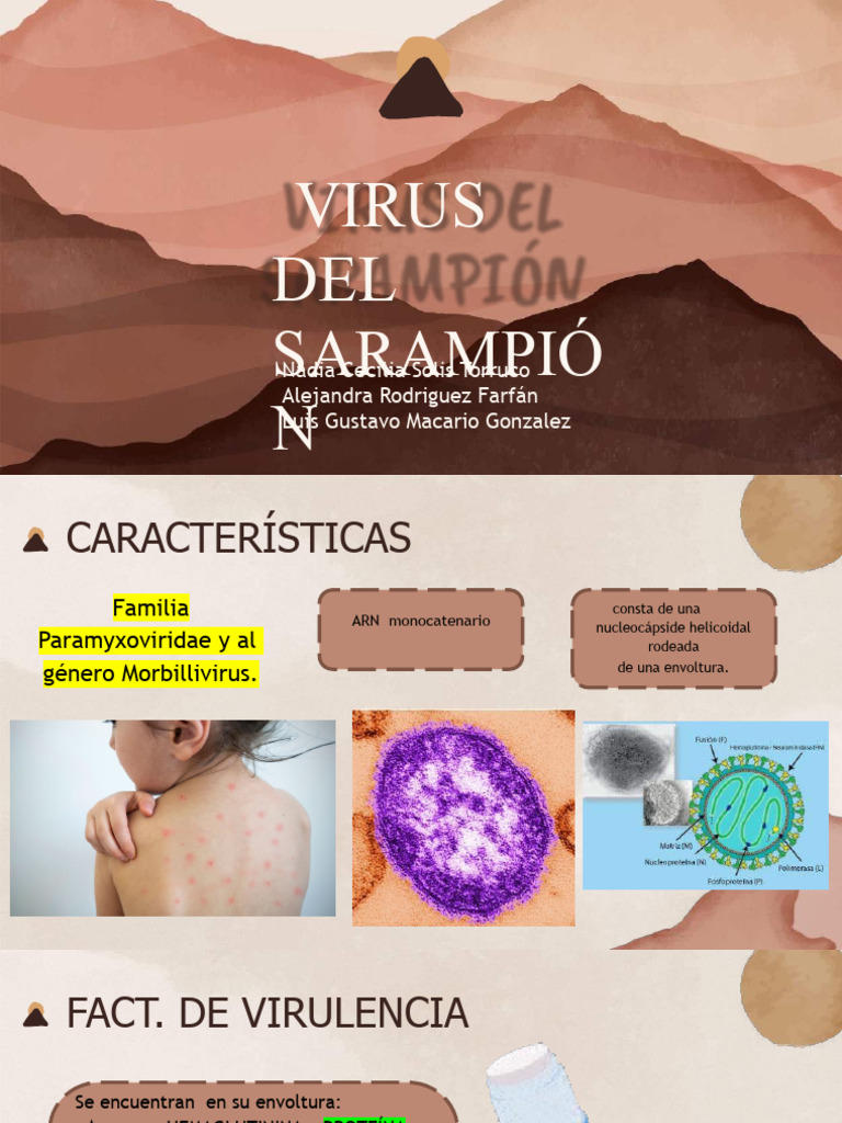Virus Del Sarampion Equipo 3 Pdf Virus Rna