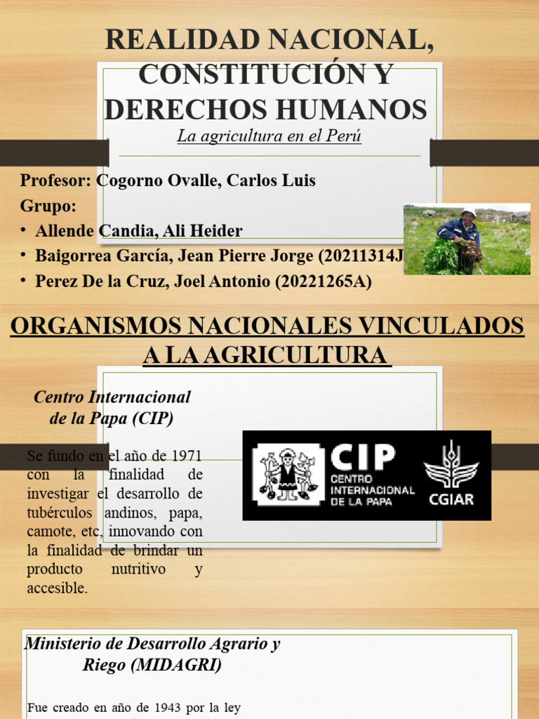 Exposición Sobre La Agricultura En El Perú Pdf Agricultura