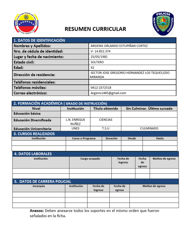 FORMATO DE RESUMEN CURRICULAR 2 - 1719388313