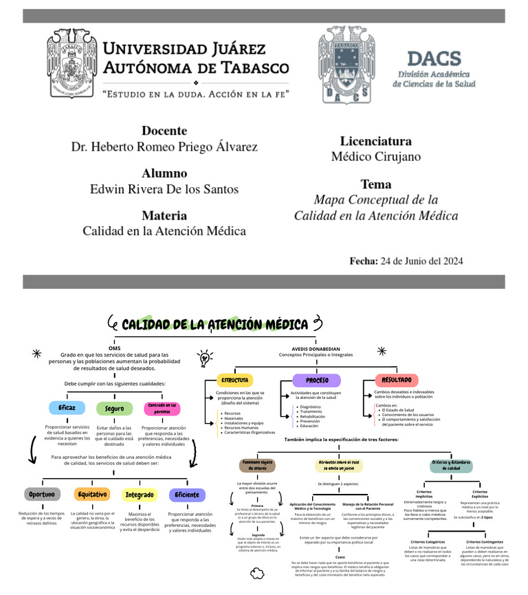 Tarea 1 - Mapa Conceptual Sobre Calidad de La Atención Médica | PDF ...