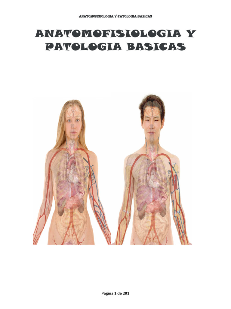 anatomofisiologia-y-patologia-basicas-pdf-epitelio-membrana-celular
