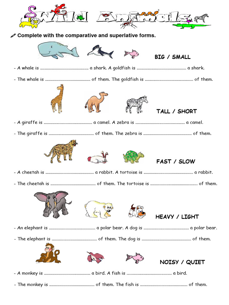 Comparative and Superlative Exercises | PDF | Zoology