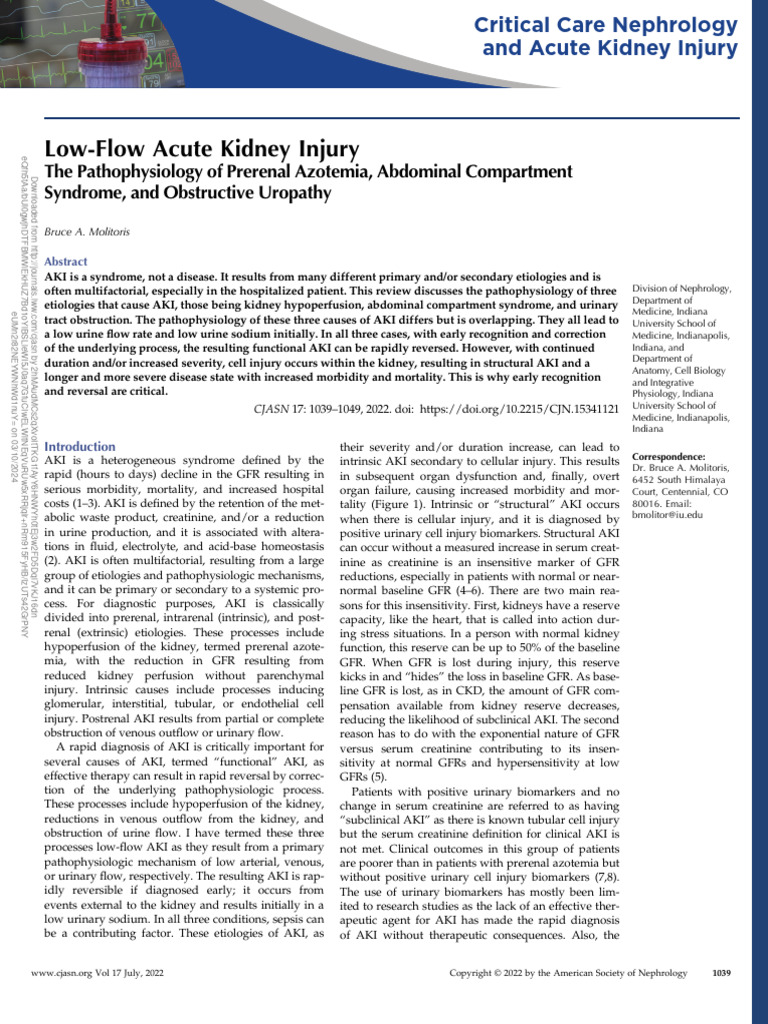 Understanding Low-Flow Acute Kidney Injury | PDF | Angiotensin | Kidney