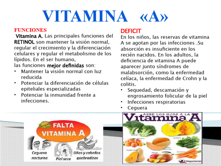 Vitamina A Pdf