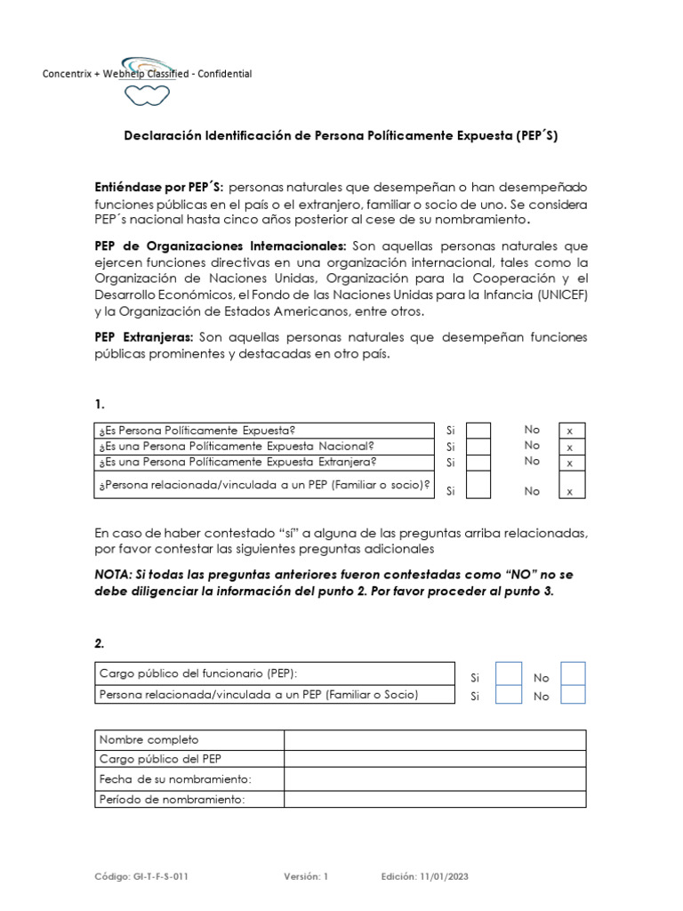 Formato Pep's | PDF | Ciencias sociales | Derecho