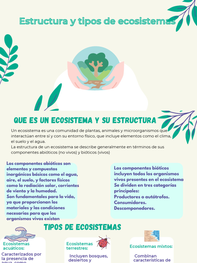 Estructura y tipos de ecosistemas | PDF | Ecosistema | Suelo