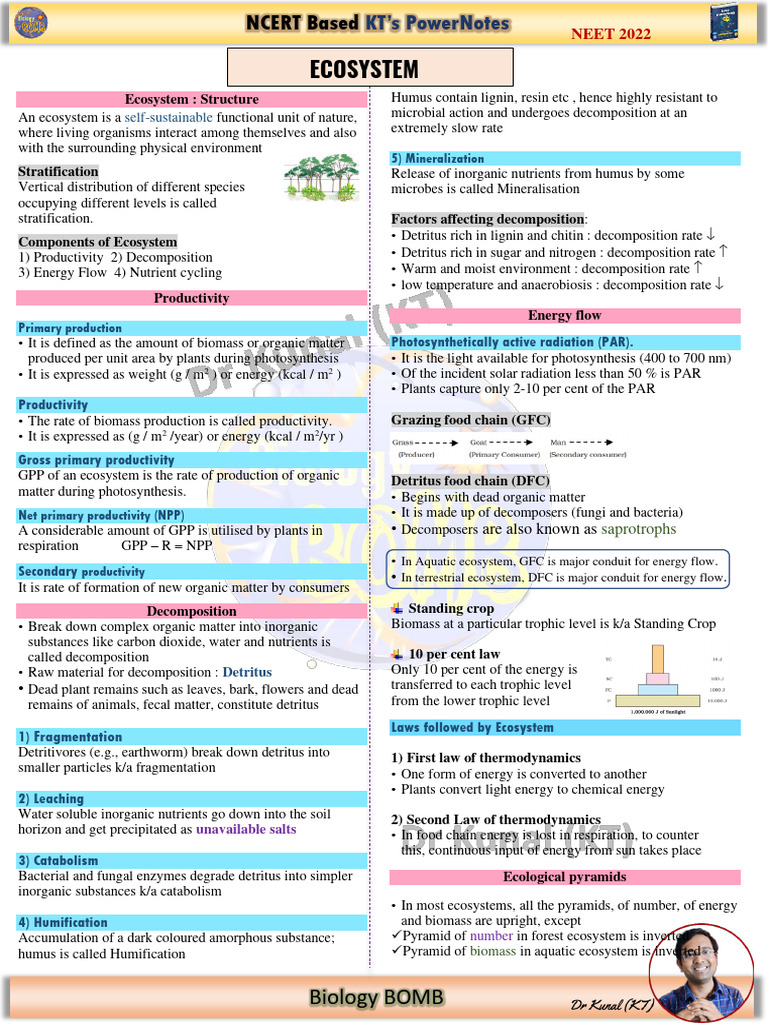 Ecosystem Structure and Dynamics Guide | PDF | Ecosystem | Primary ...