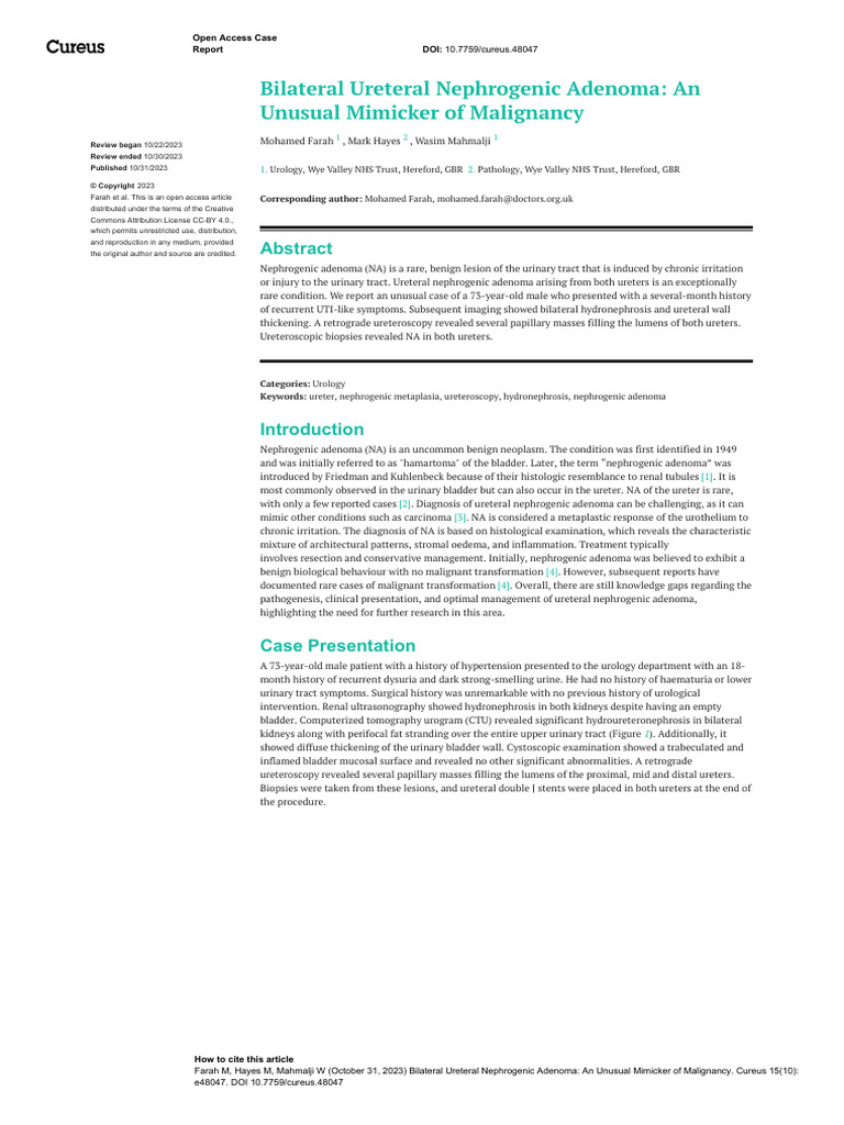 Bilateral Ureteral Nephrogenic Adenoma - An Unusual Mimicker of ...