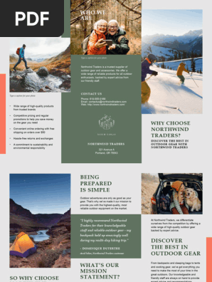 Business Tri-fold Brochure