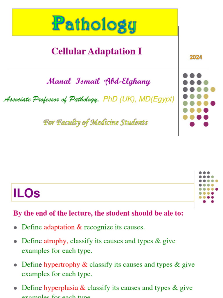 Cellular Adaptation I Merit DR - Manal 2024 | PDF | Atrophy | Medical ...