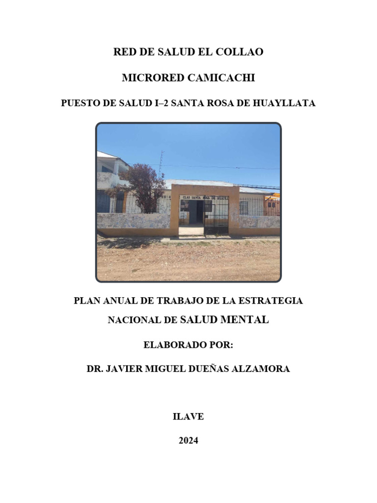 Plan Anual de Salud Mental 2024 Huayllata | PDF | Salud mental ...