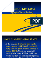 Nguyen-Xuan-Truong-Hoa-Hoc-Kim-Loai