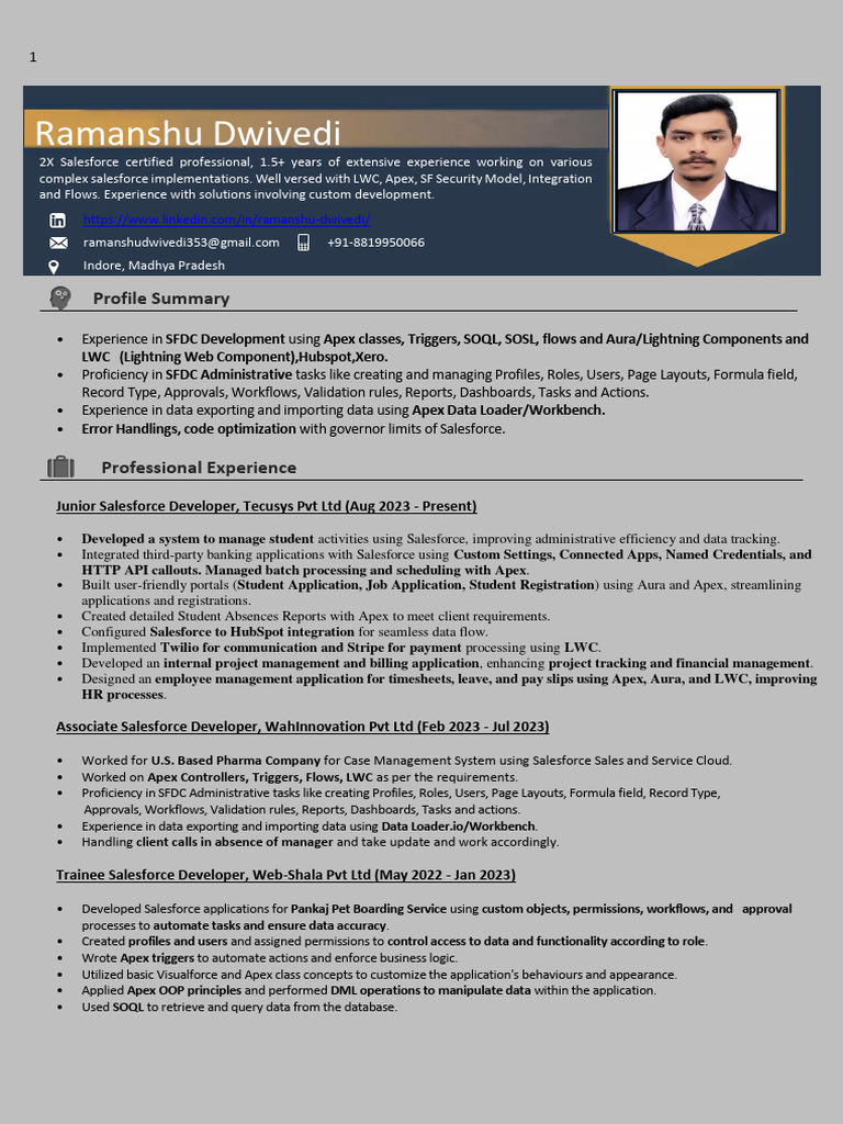 Salesforce Developer Profile Summary | PDF | Application Software ...